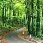 Apartma Panorama *