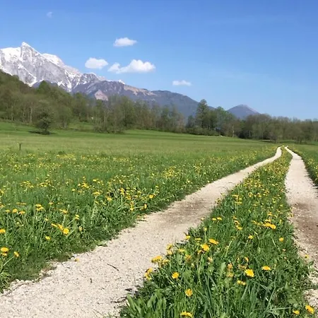 Apartma Panorama Apartment Kobarid