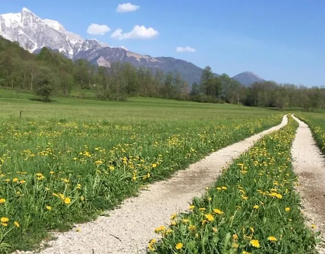 Apartma Panorama Apartamento Kobarid