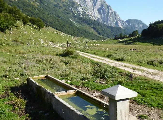 Daire Apartma Panorama *