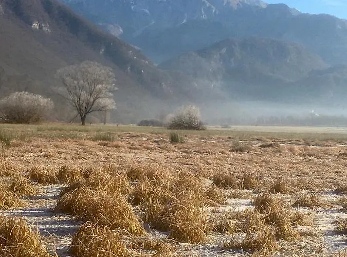 Apartamento Apartma Panorama *