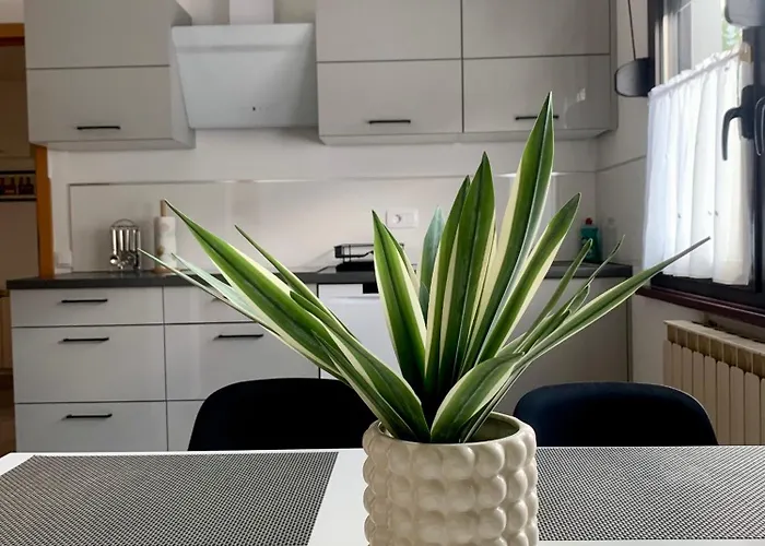 Apartma Panorama Kobarid